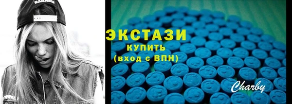 spice Богородицк