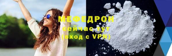 spice Богородицк