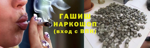 индика Богданович