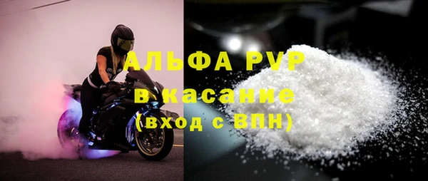индика Богданович