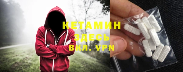индика Богданович