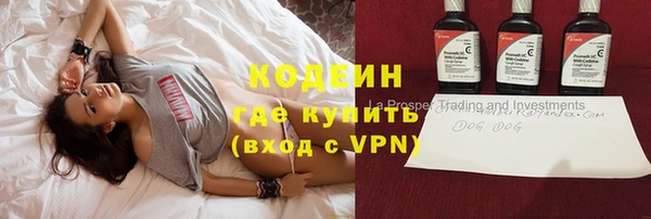 индика Богданович