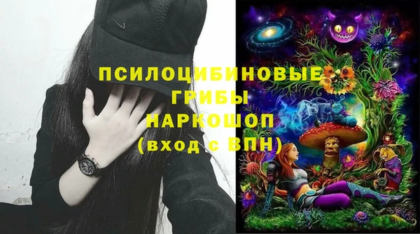 spice Богородицк