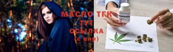 индика Богданович