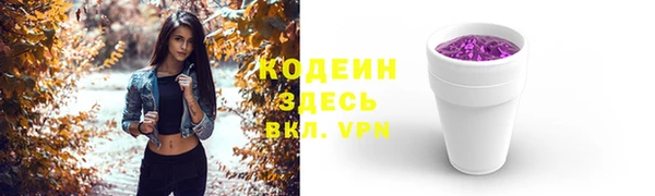 spice Богородицк