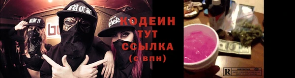 индика Богданович