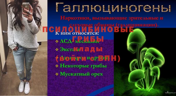 2c-b Богородск