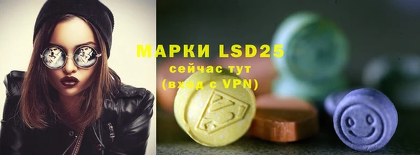 spice Богородицк