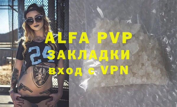 spice Богородицк