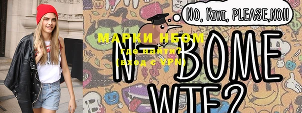 индика Богданович