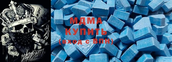 индика Богданович