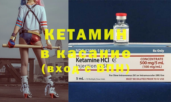 индика Богданович