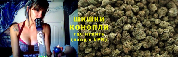 индика Богданович