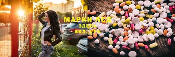 spice Богородицк