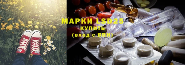 spice Богородицк