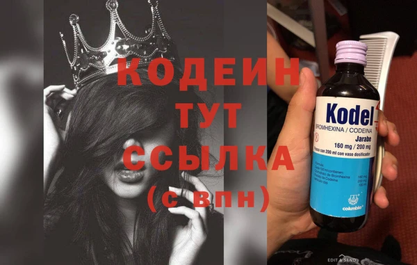spice Богородицк
