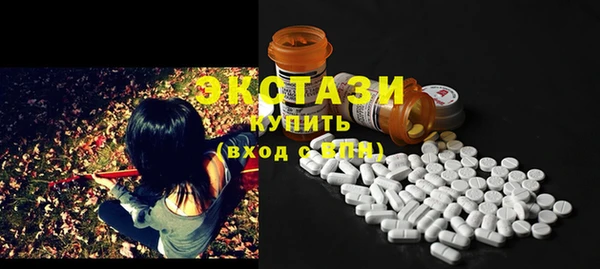 spice Богородицк