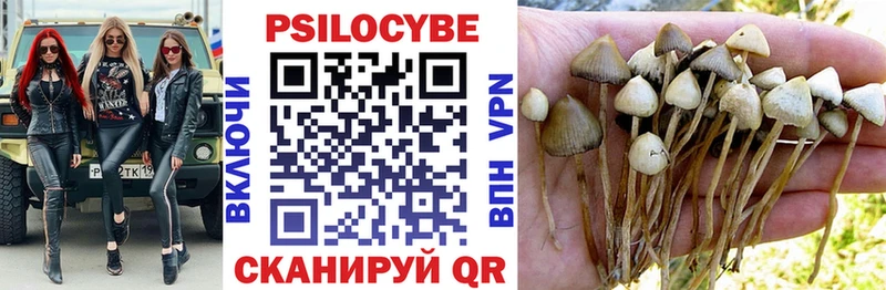 Псилоцибиновые грибы Cubensis  Пестово 